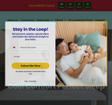15340_homepage_screenshot_2024-11-14 16:42:27